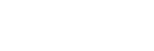 dsn logo long